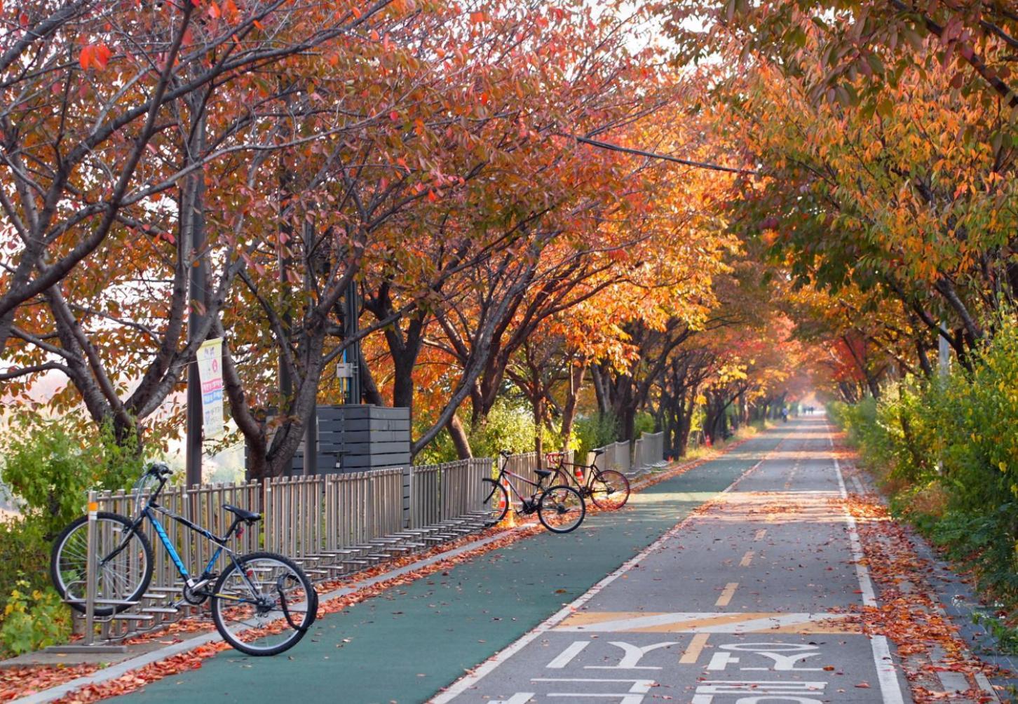 Apartment Jamstay In Nearby Jyp, Jamsil, Lotte World, Kspo Dome